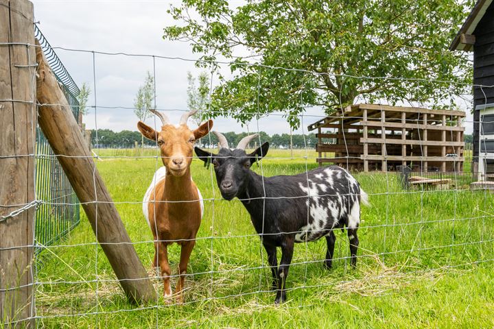 Bekijk foto 18 van Parallelweg 32