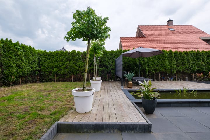 Foto 33 van Kloosterhout 6