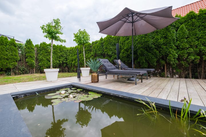 Foto 42 van Kloosterhout 6