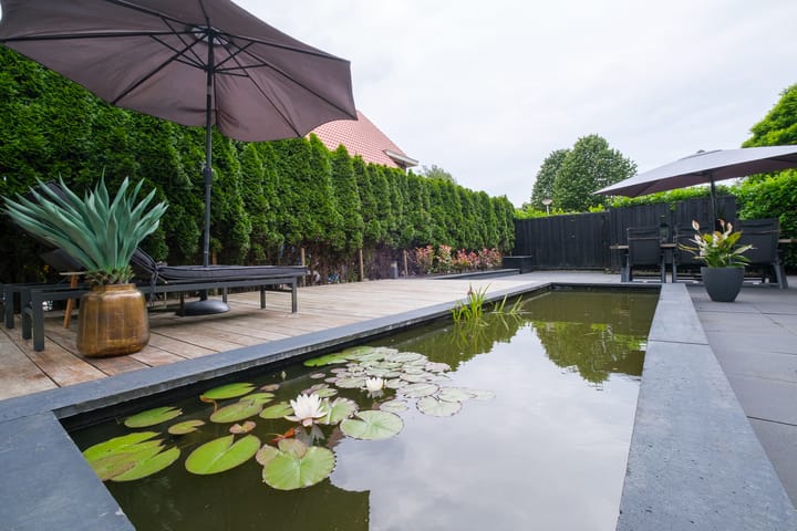 Foto 44 van Kloosterhout 6