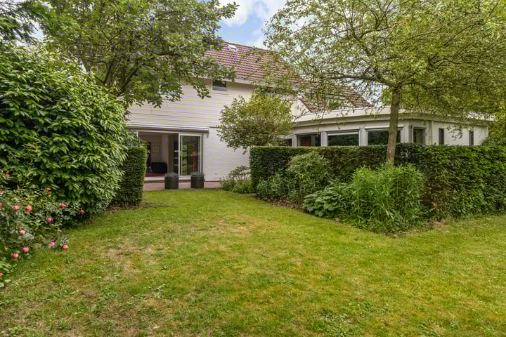 Foto 2 van Longkruid 16