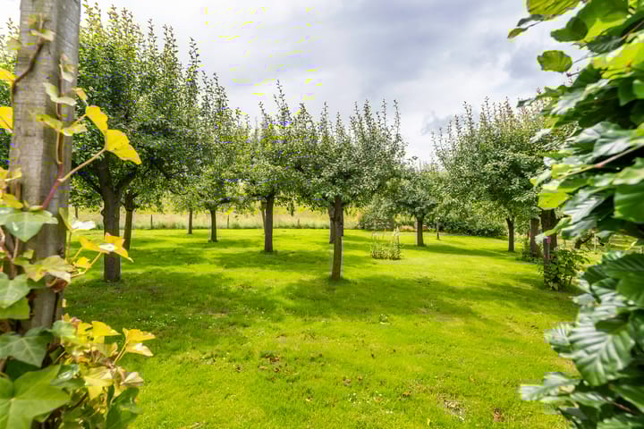 Photo 53 of Gerestraat 49