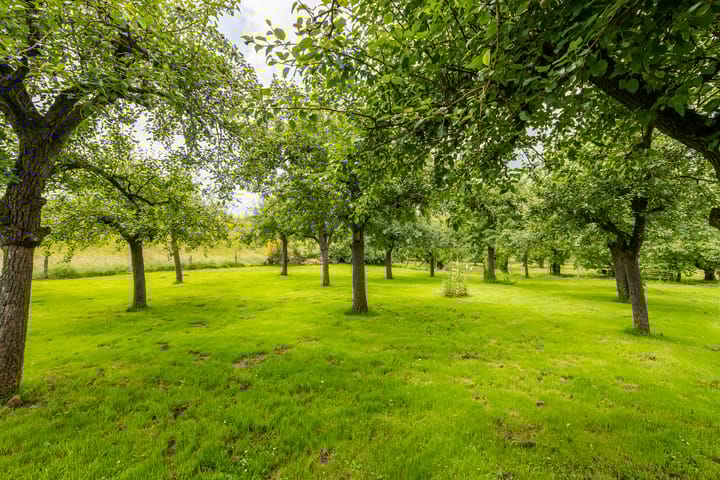 Photo 67 of Gerestraat 49