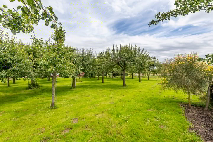 Photo 68 of Gerestraat 49