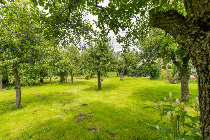 Photo 69 of Gerestraat 49