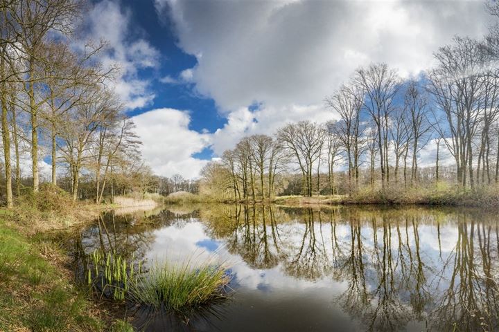 Bekijk foto 4 van Overasseltseweg