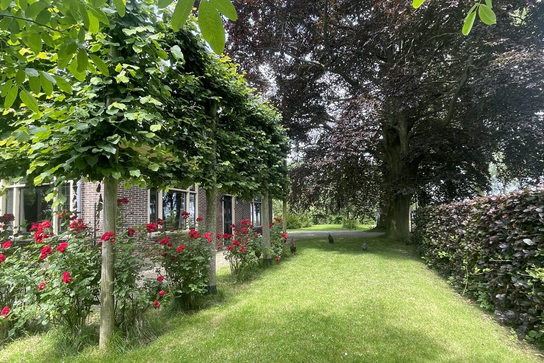 Foto 43 van Zwaagdijk 278