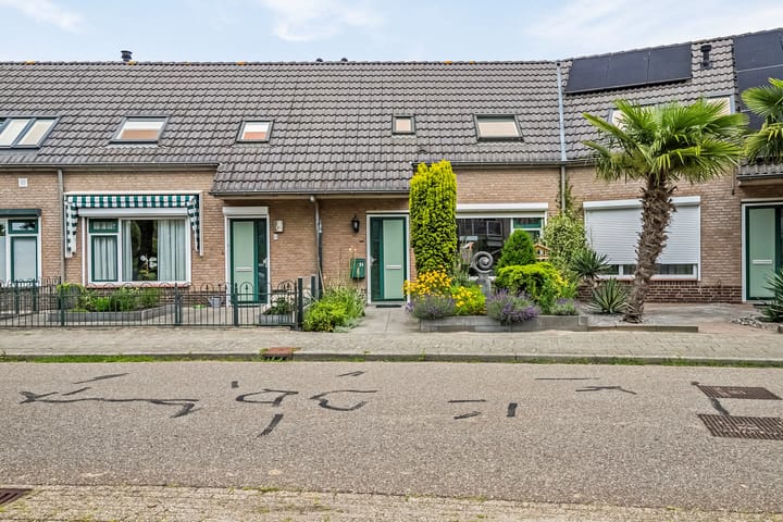 undefined main image