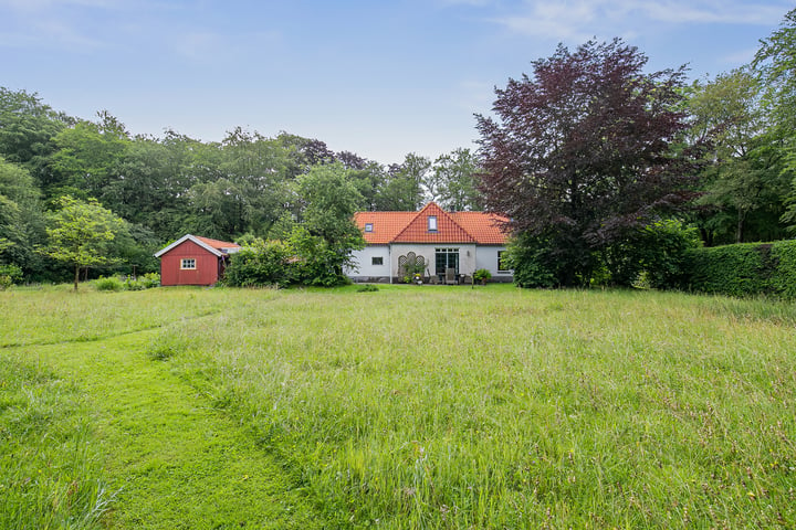 Bekijk foto 33 van Schipborgerweg 1