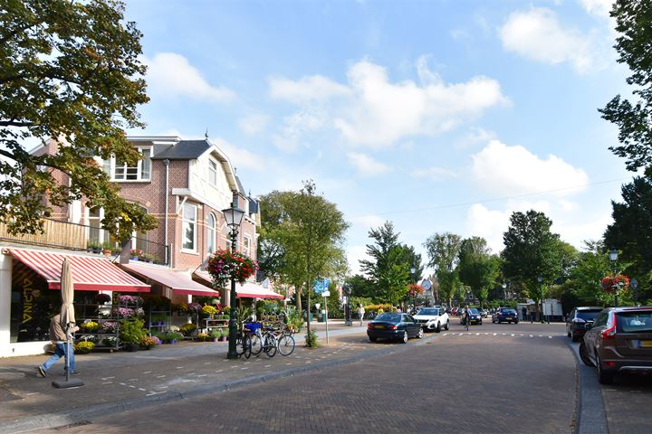 Bekijk foto 40 van Van Loostraat 44