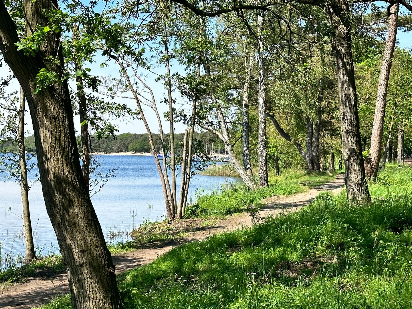 Photo 22 of FiftyEight