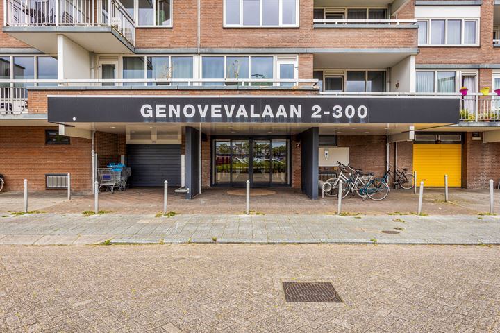 Bekijk foto 19 van Genovevalaan 114