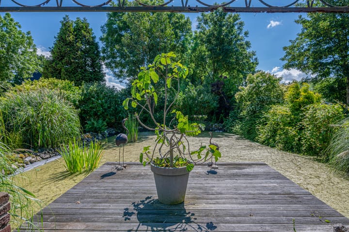 Foto 64 van Ulsderweg 26