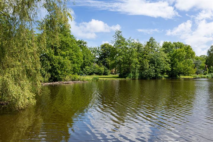 Bekijk foto 36 van Baroniestraat 48-01