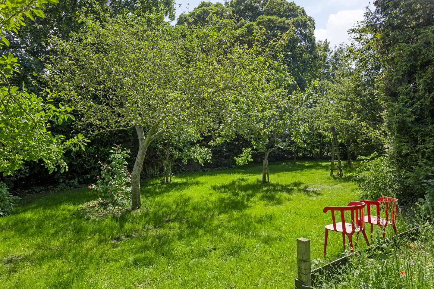 Foto 40 van Nieuweweg 27