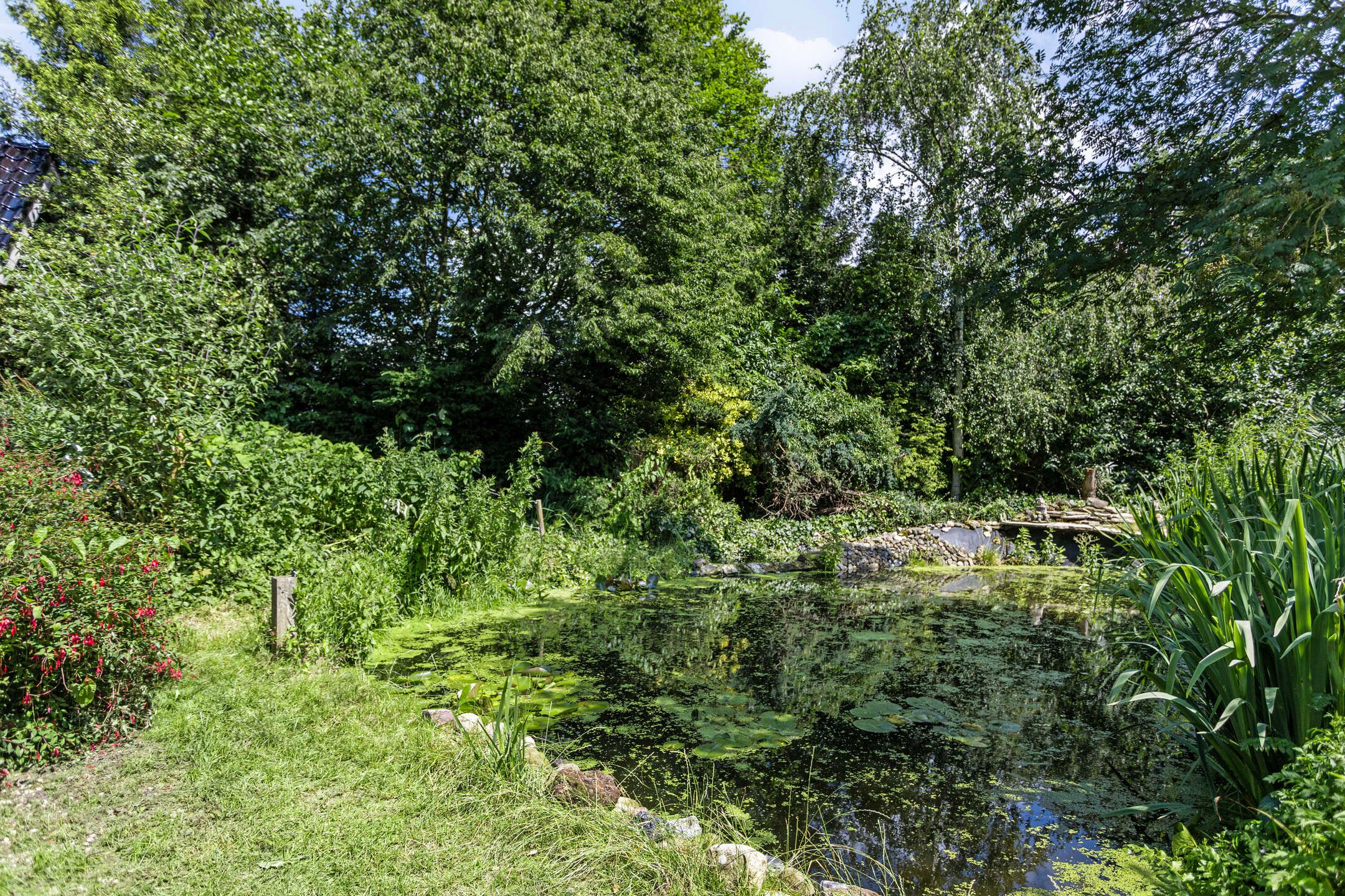 Foto 42 van Nieuweweg 27