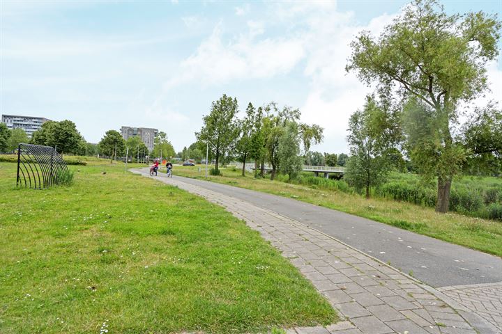 Bekijk foto 32 van Paardebloemstraat 10