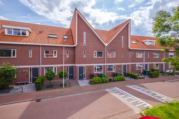 undefined main image