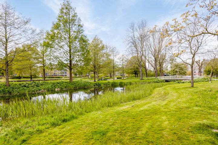 Bekijk foto 31 van Albert Verweijlaan 50