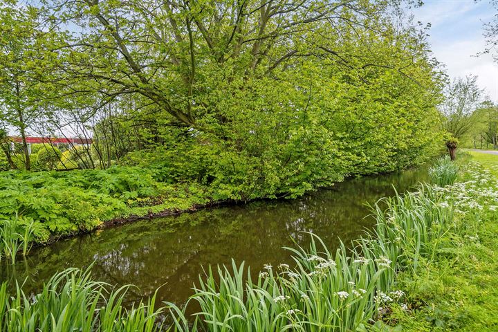 Bekijk foto 50 van Zwanenkade 6