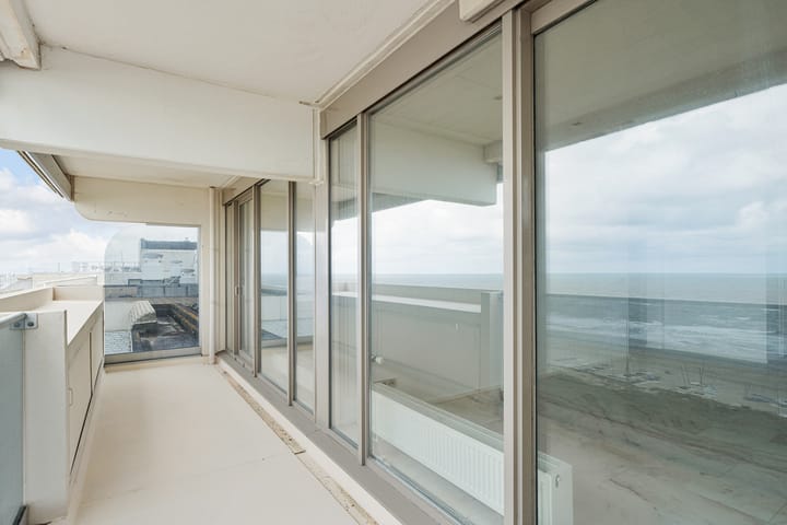 Foto 12 van Duindistel 79