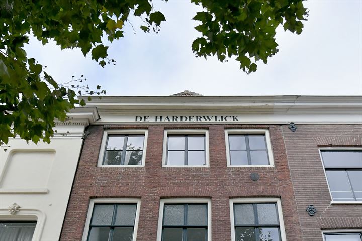 Bekijk foto 45 van Nieuwstad 29