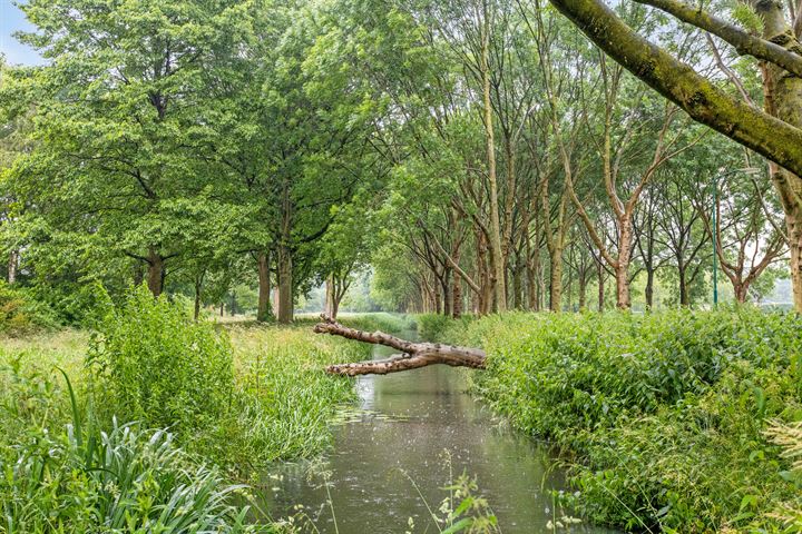 Bekijk foto 44 van Stadhoudershof 35