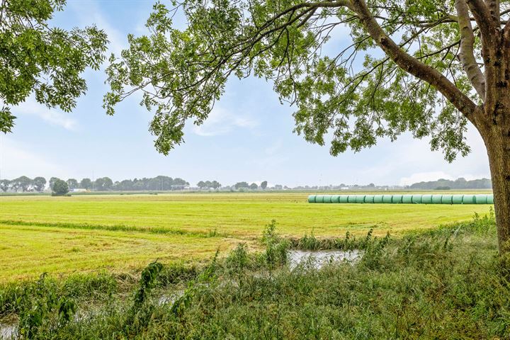 Bekijk foto 45 van Stadhoudershof 35