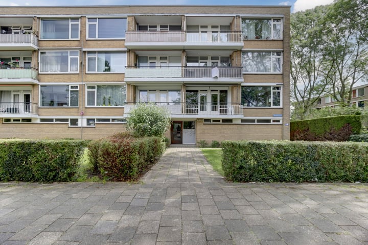 Bekijk foto 1 van Nieuwenoord 226