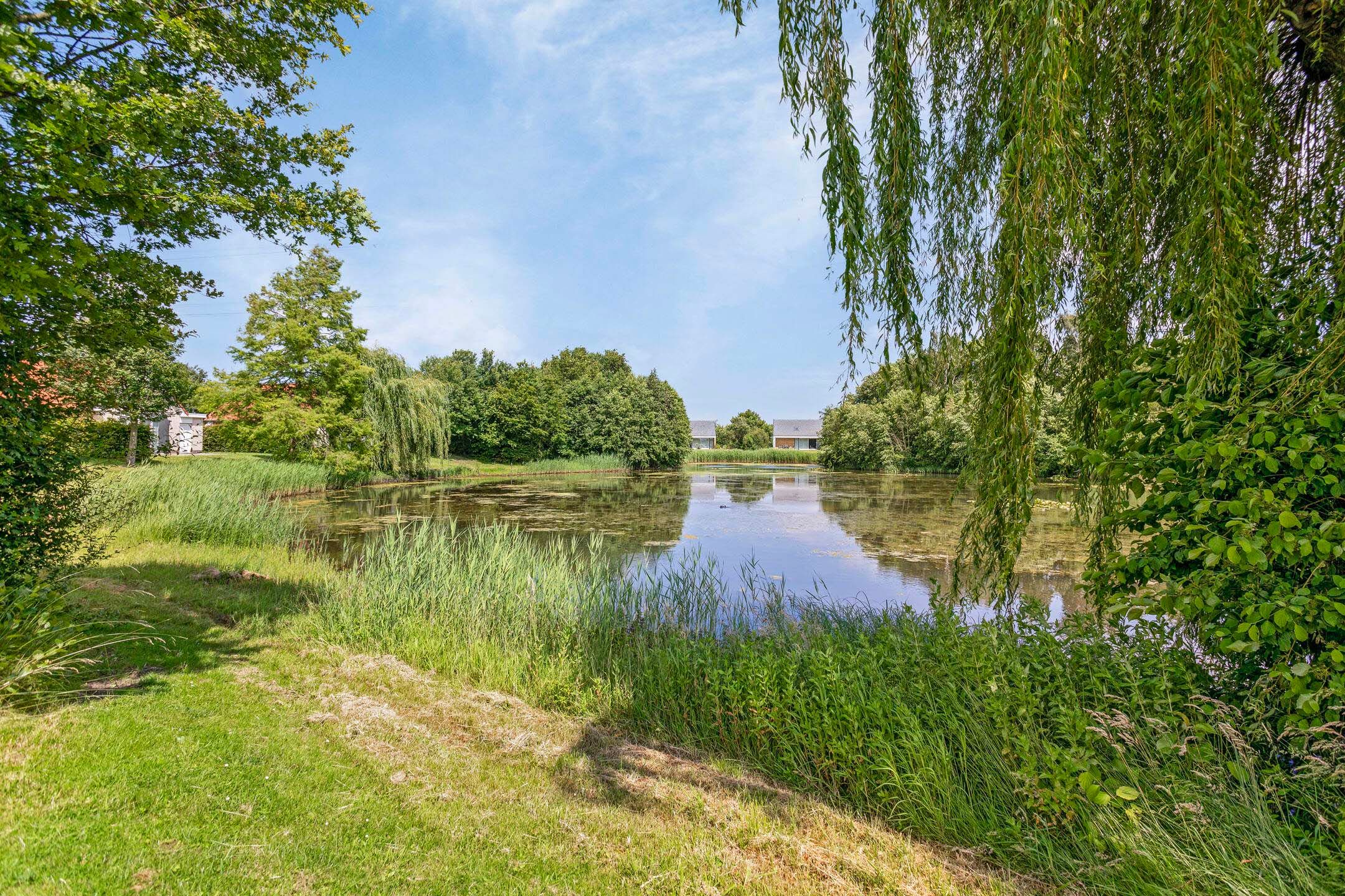 Foto 3 van Schutteheide 1-326