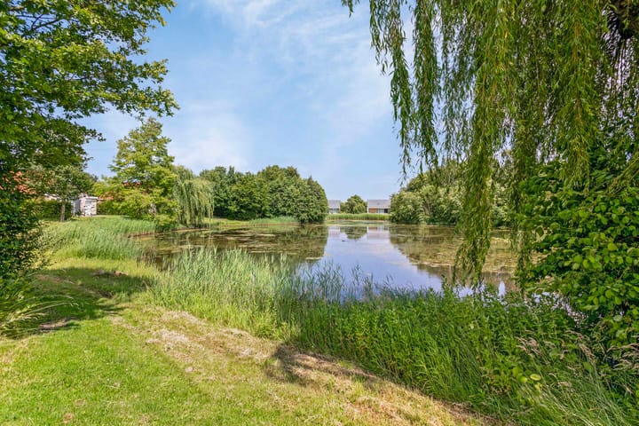 Foto 3 van Schutteheide 1-326