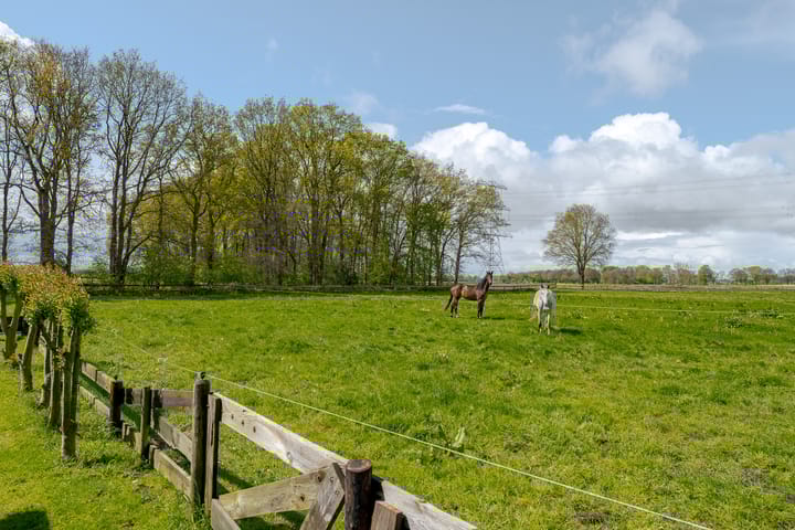 Foto 30 van Elimmerweg 4