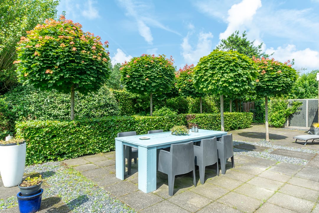 Foto 32 van Groenland 31