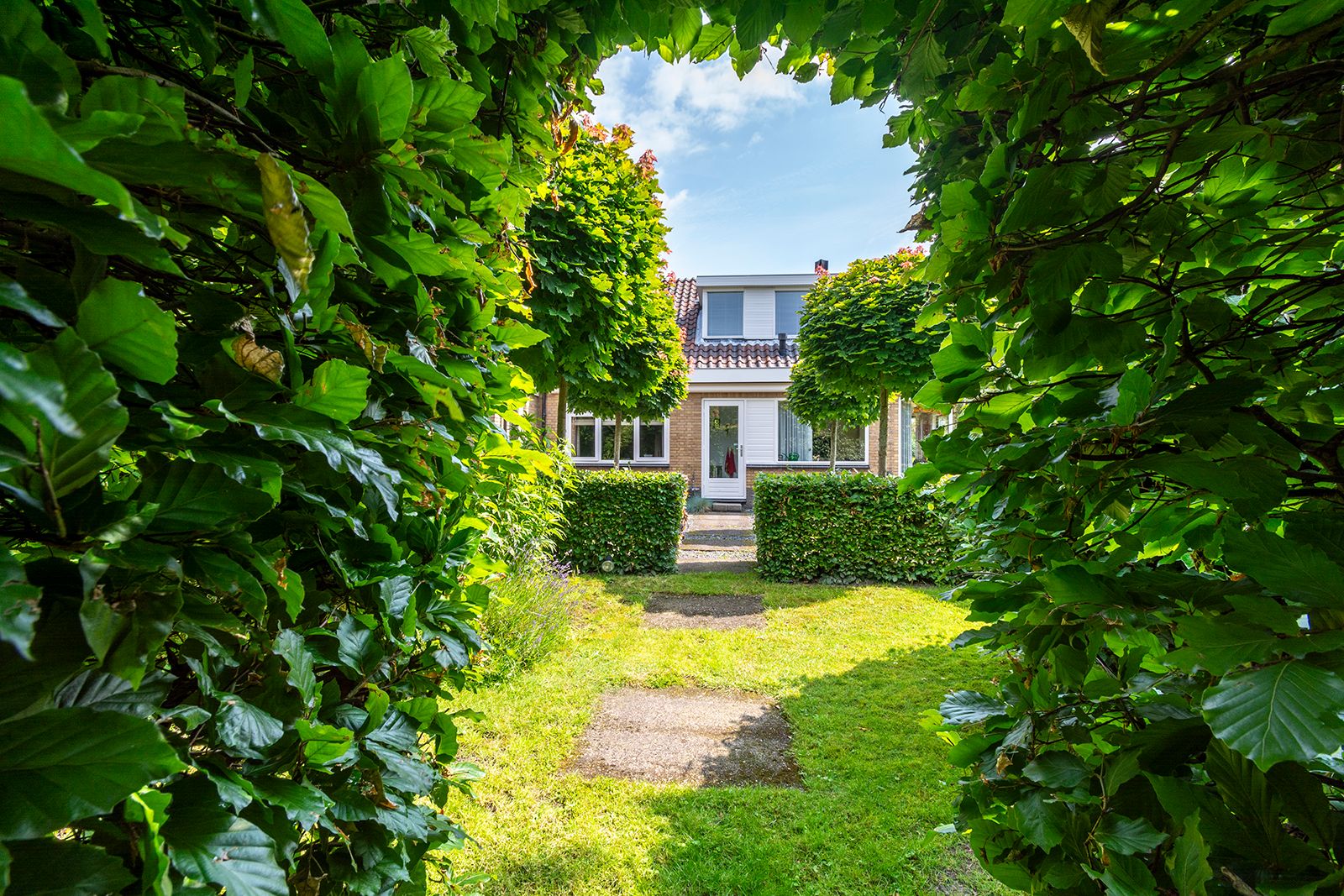 Foto 36 van Groenland 31