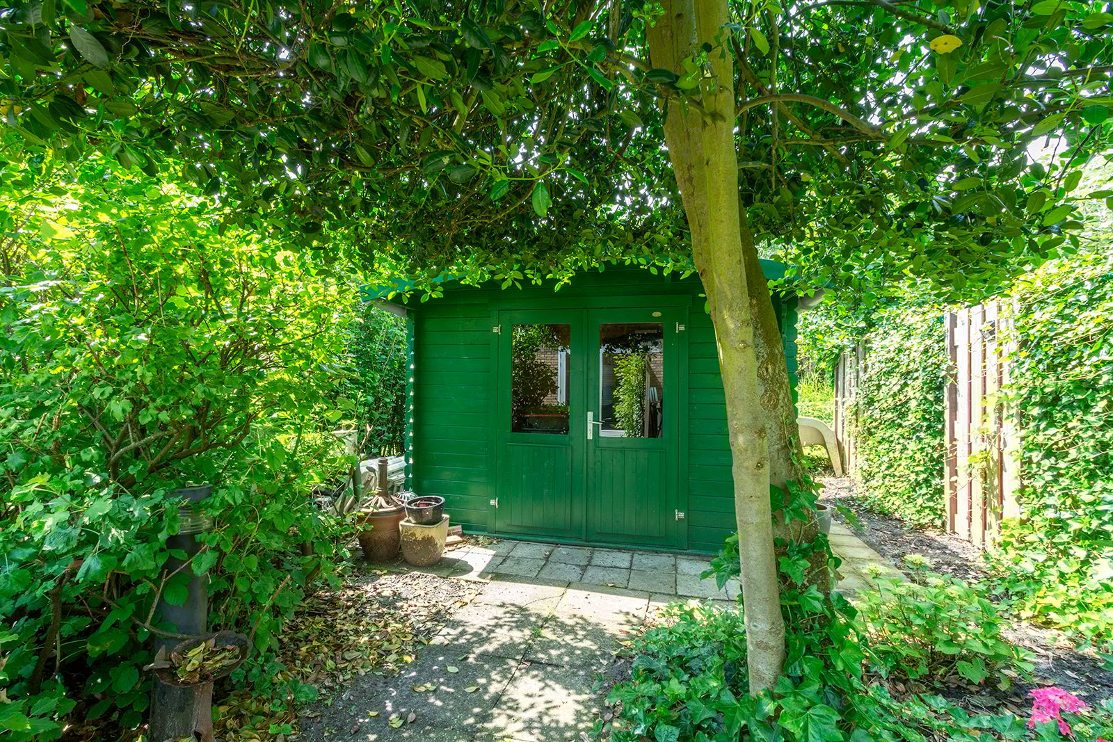 Foto 39 van Groenland 31