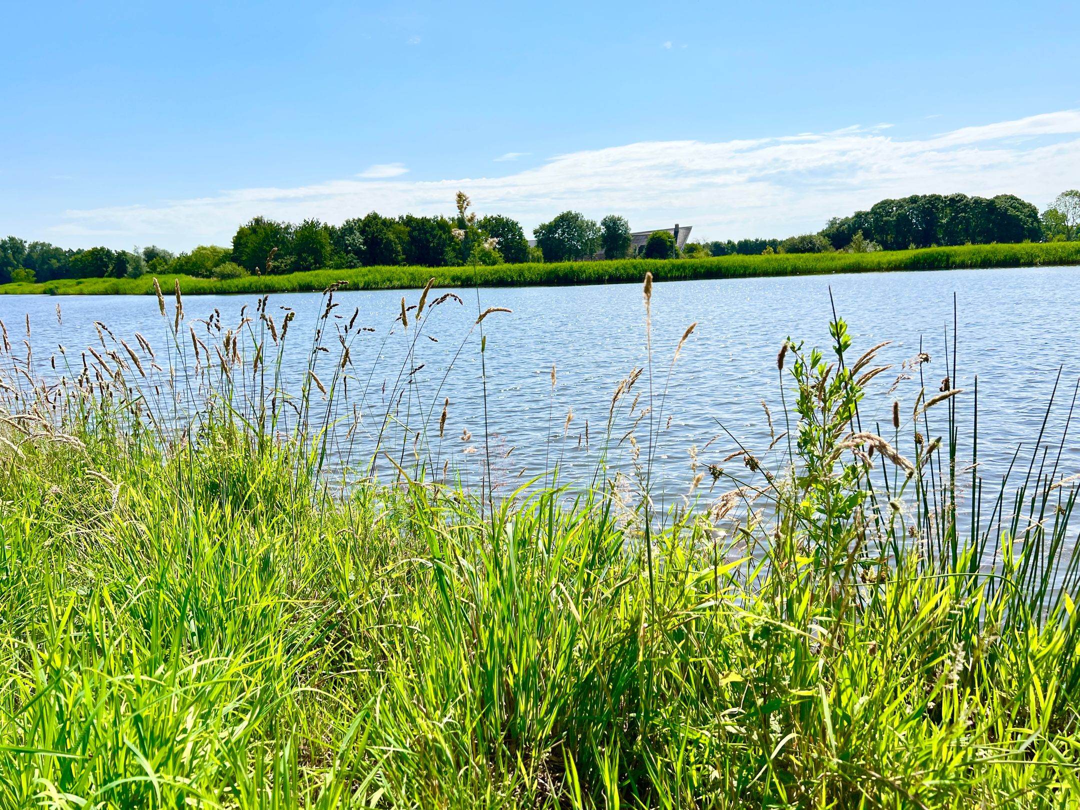 Kiekendief, Blauwestad, 9685AL, Groningen, Nederland