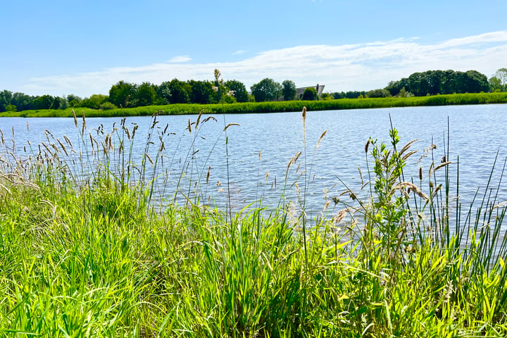 Bekijk foto 1 van Kiekendief