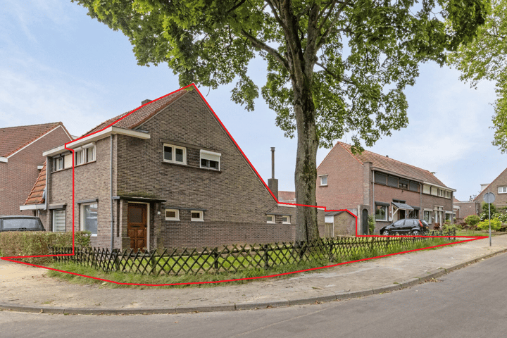 undefined main image