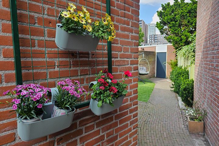 Bekijk foto 17 van Boomstraat 43