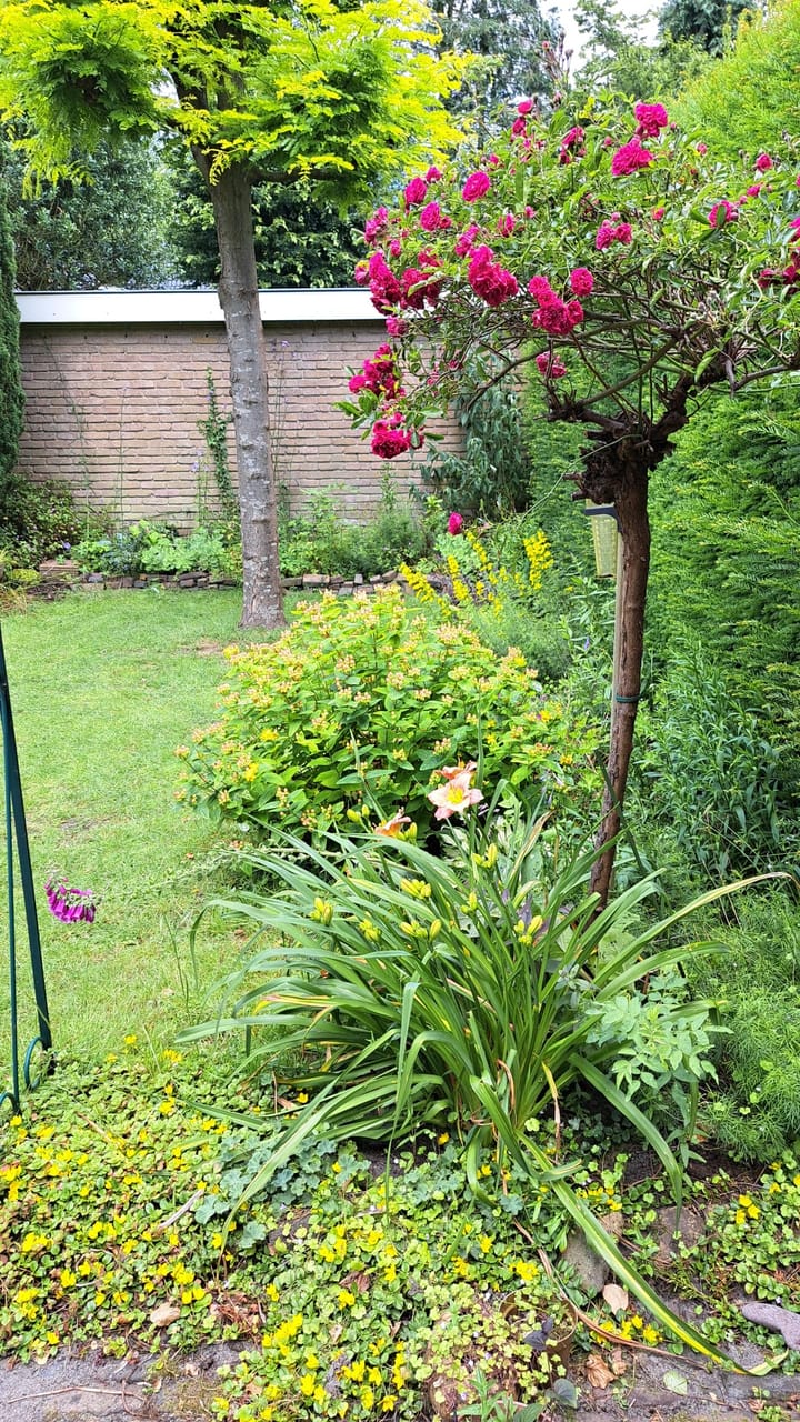 Foto 24 van Driftweg 24