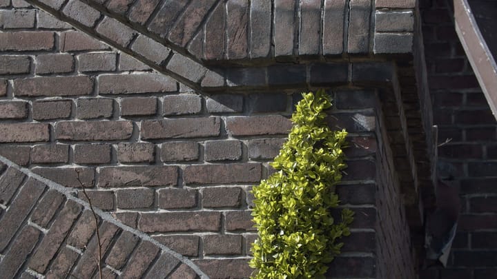 Foto 10 van Eengezinswoning met toren - JUUL - D