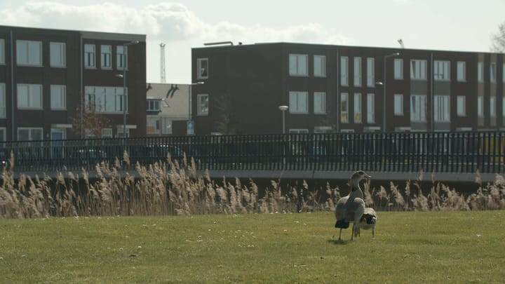 Foto 12 van Eengezinswoning met toren - JUUL - D