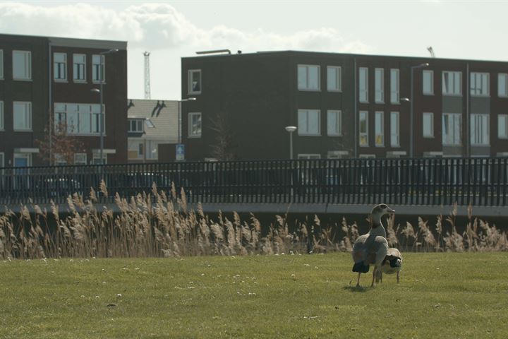 Bekijk foto 12 van Eengezinswoning met toren - JUUL - D