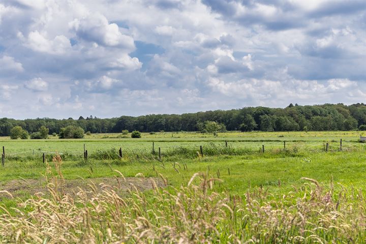 Bekijk foto 16 van De Rijlst 22