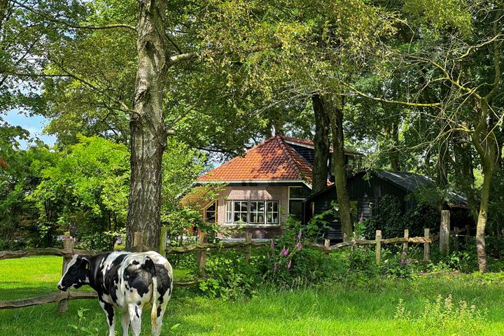 Bekijk foto 50 van Brugveenseweg 33