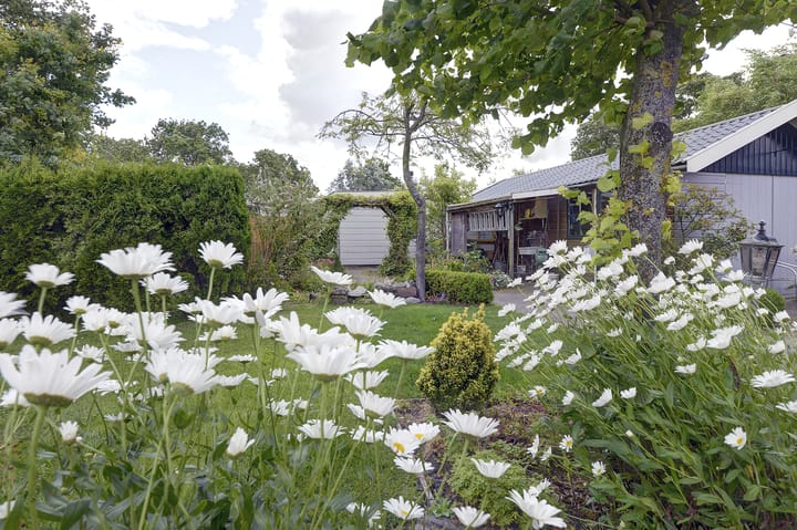 Foto 28 van Durgerdammergouw 31