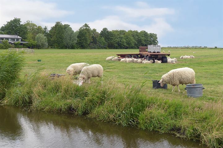 Bekijk foto 35 van Durgerdammergouw 31