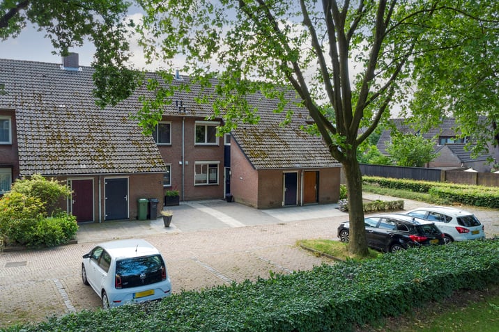 undefined main image