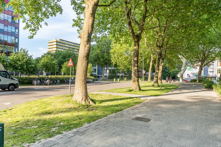 Bekijk foto 3 van Laan van Vollenhove 396