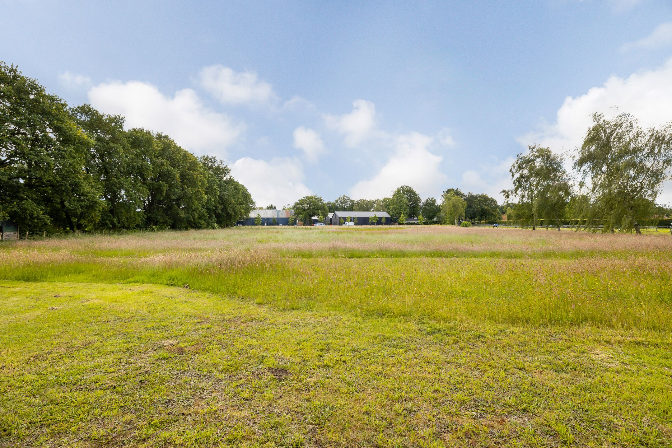 Foto 6 van Rodeschuurderwegje